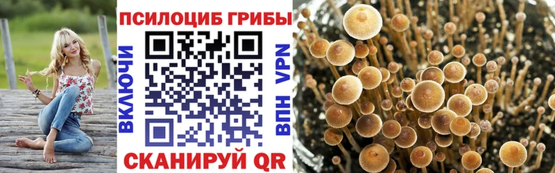 Галлюциногенные грибы ЛСД  Тарко-Сале 